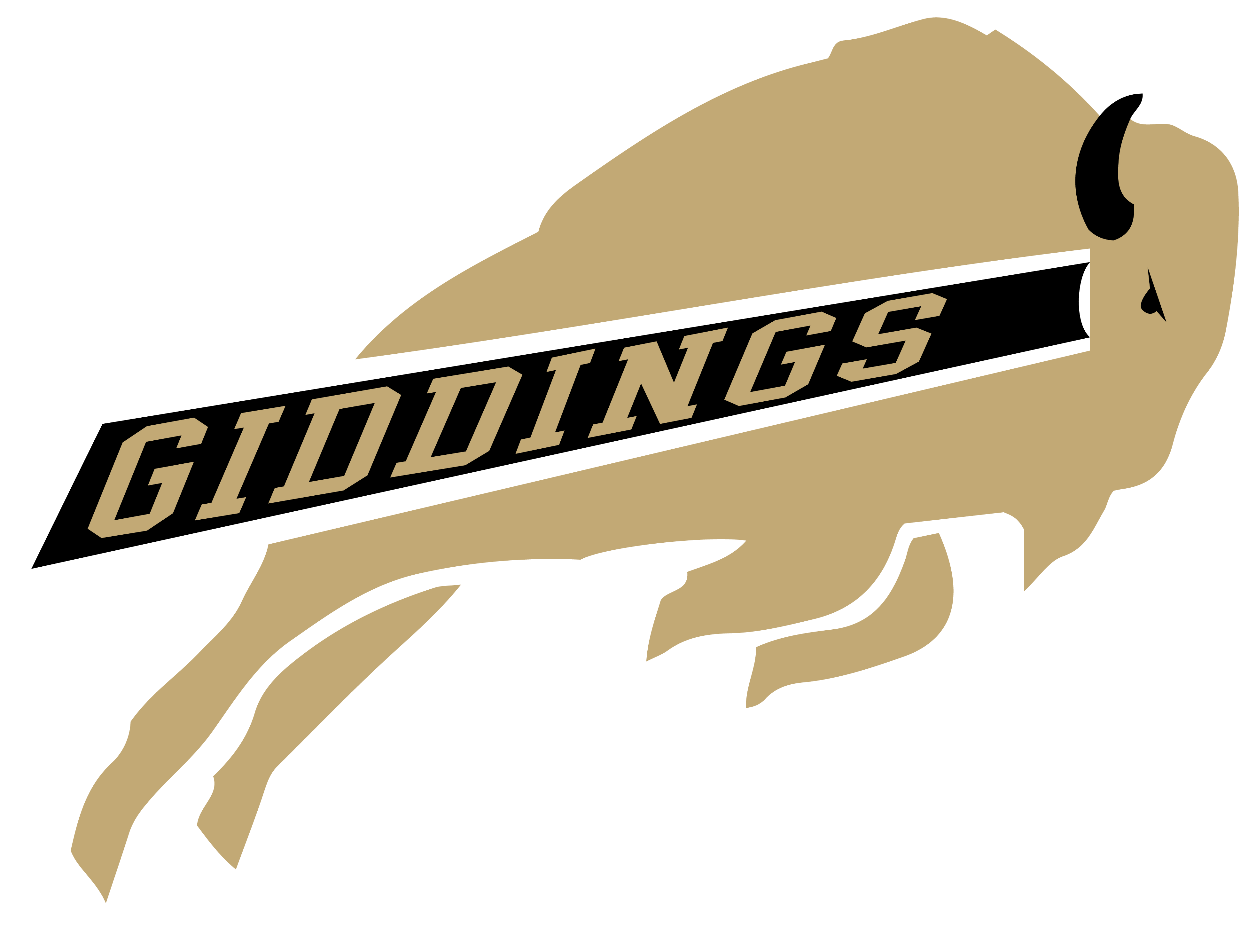 District Logo